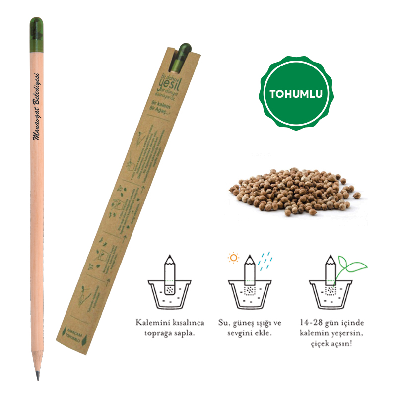 Tohumlu Kurşun Kalem