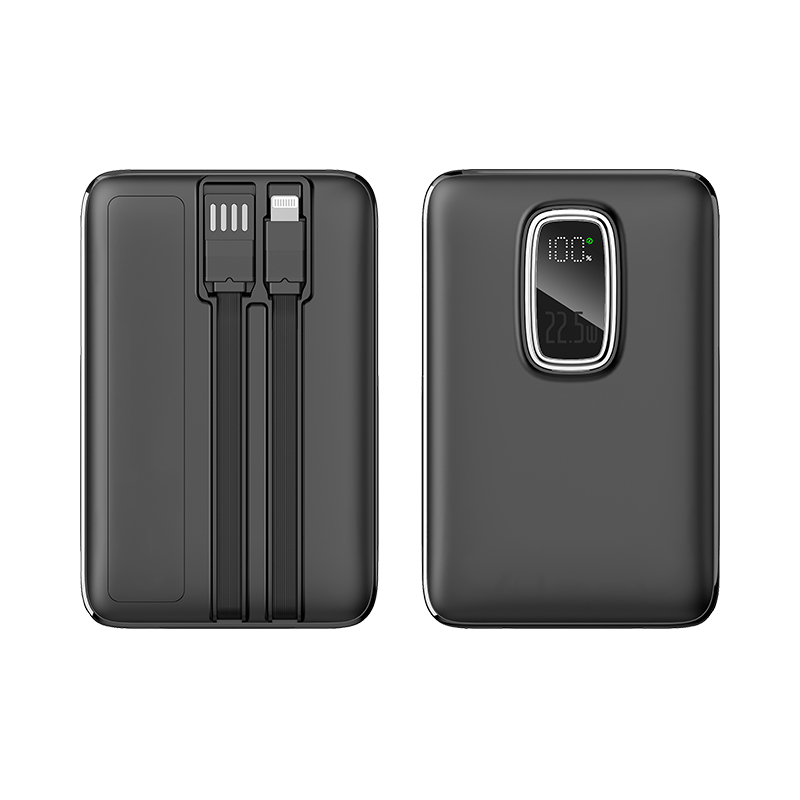 10.000 mAh Powerbank - 4