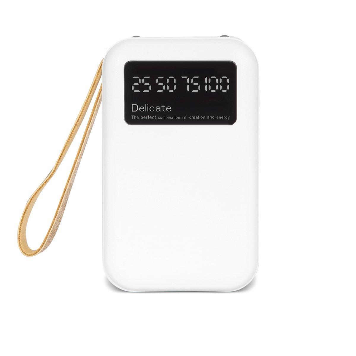 10.000 mAh Powerbank 